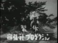 豹の眼